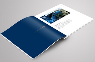 畫(huà)冊(cè)印刷設(shè)計(jì)的基本原則與圖文制作精要